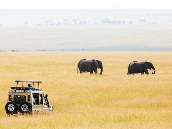 Game Drives