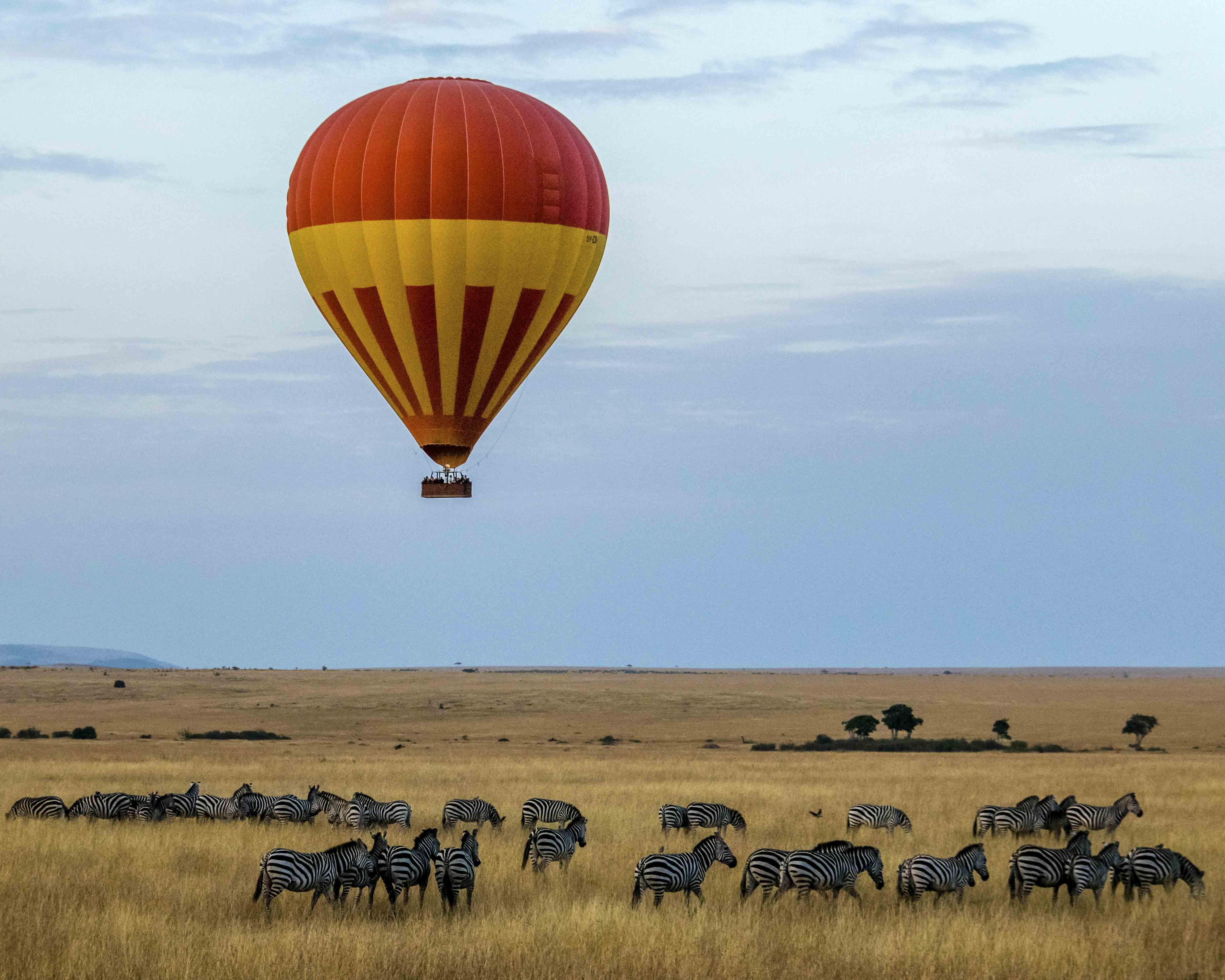 Hot Air Balloon Safaris