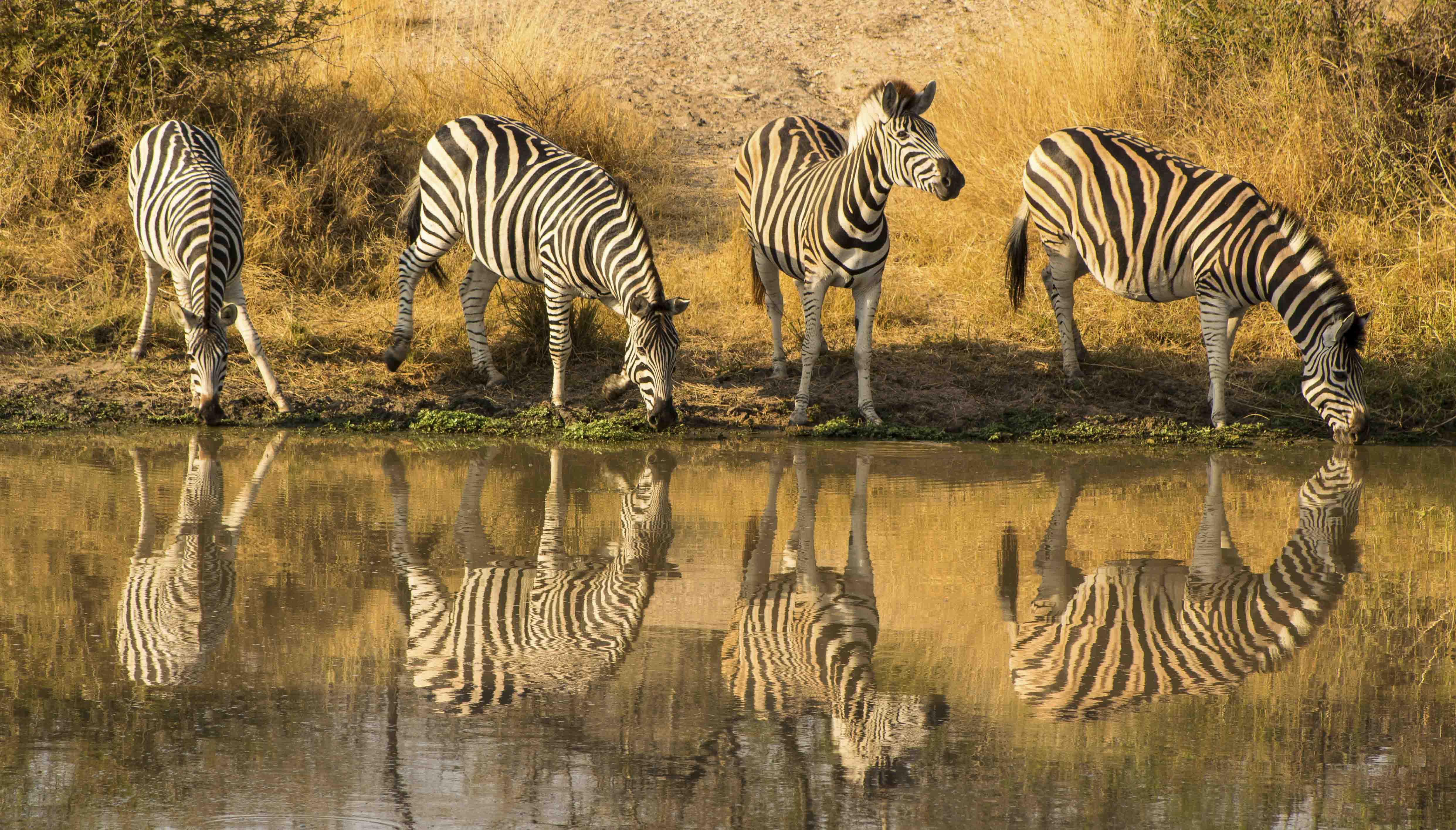 ngorongoro destination in Tanzania