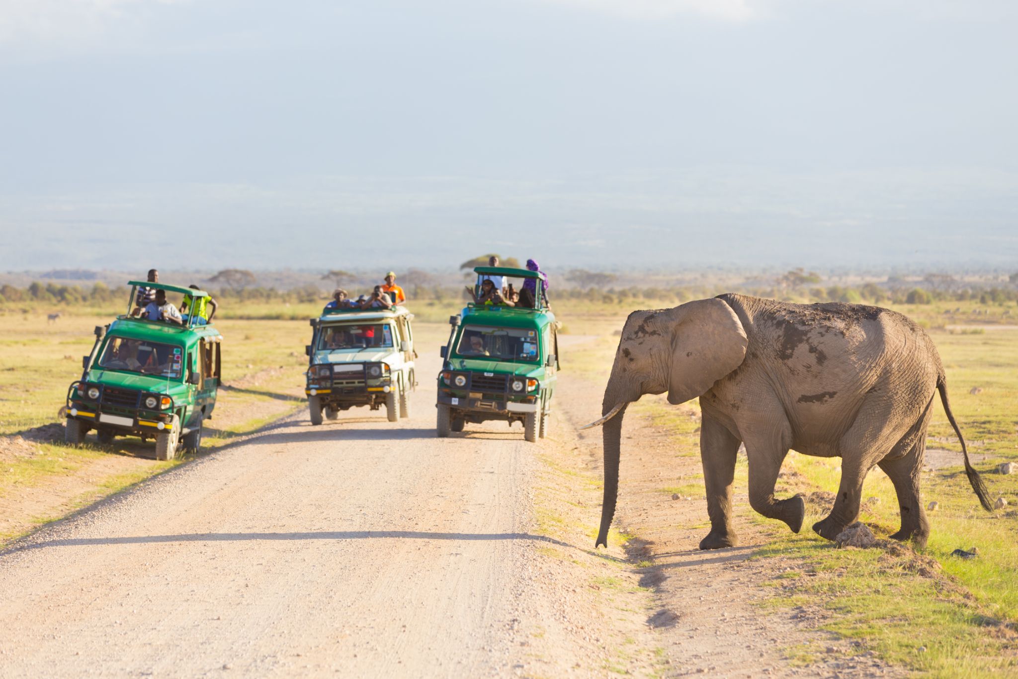 Budget Tanzania Safari gallery photo 1