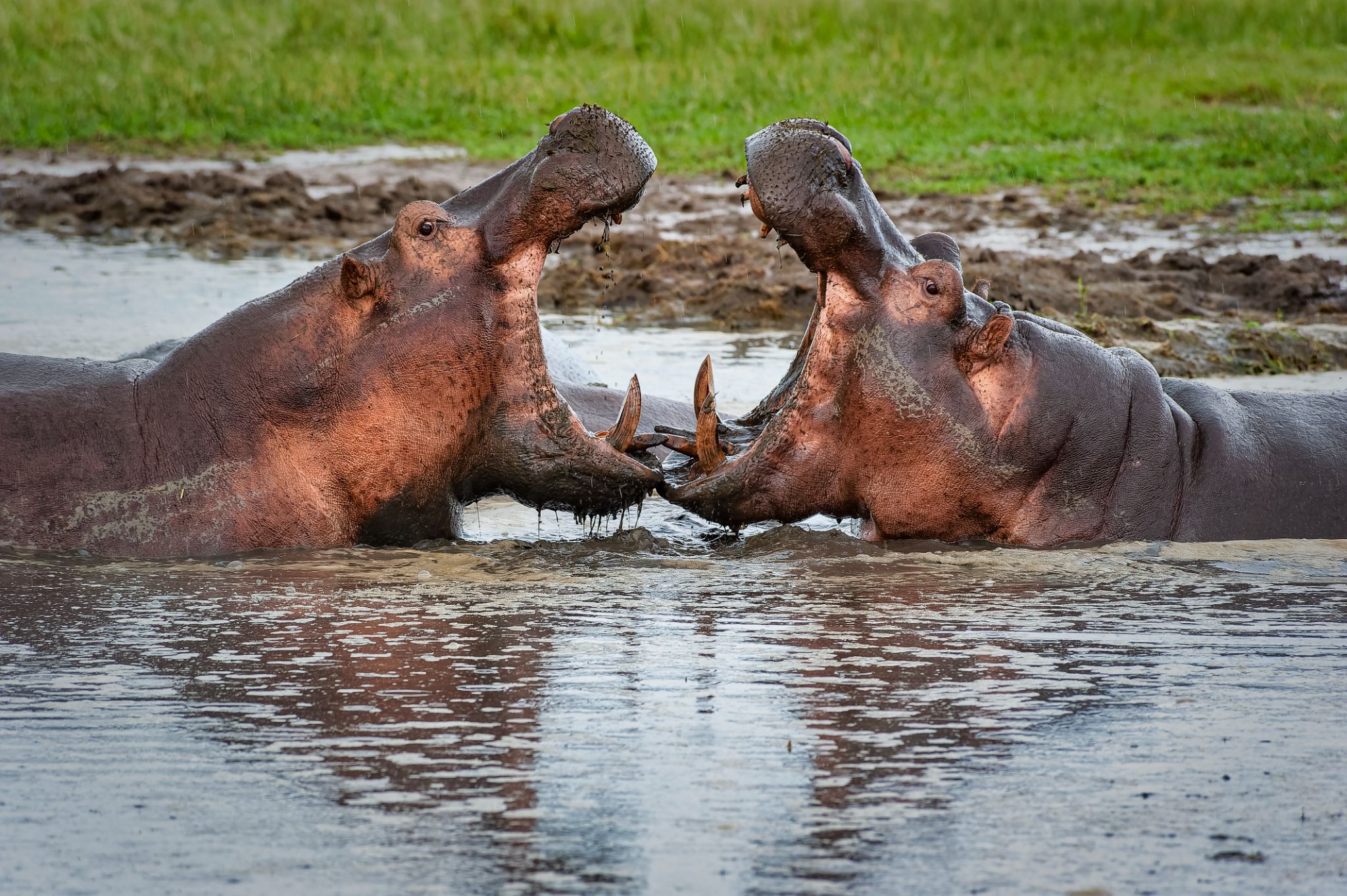 Budget Tanzania Safari gallery photo 2