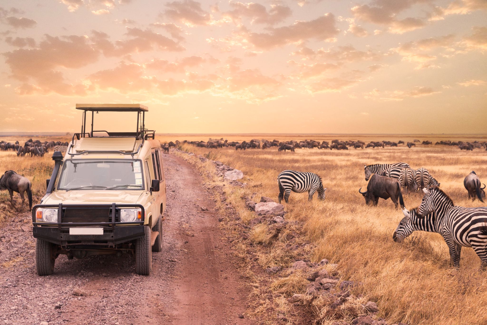 Budget Tanzania Safari gallery photo 4