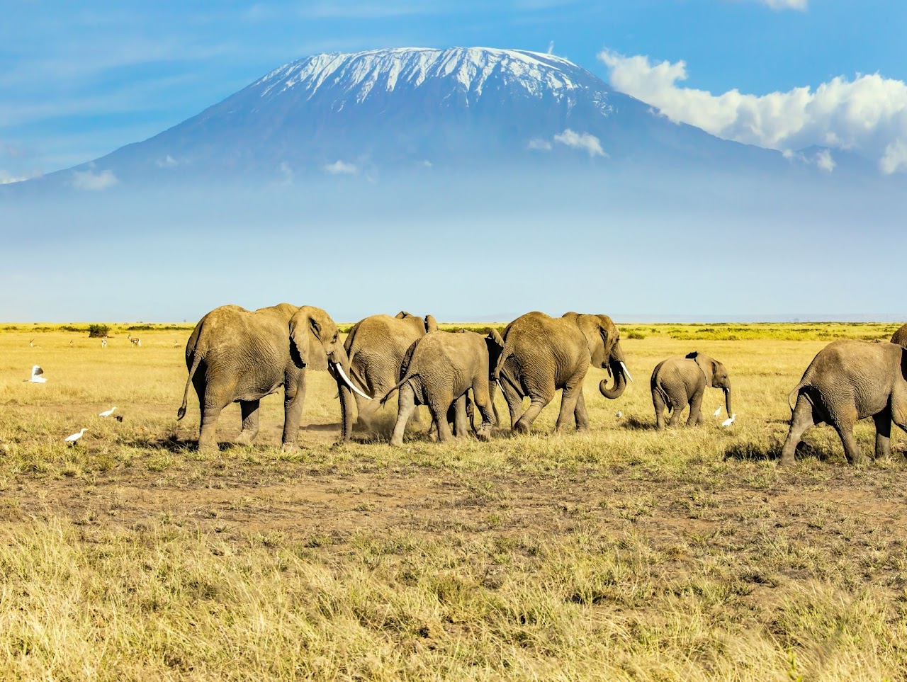 Mount Kilimanjaro Climb gallery photo 2