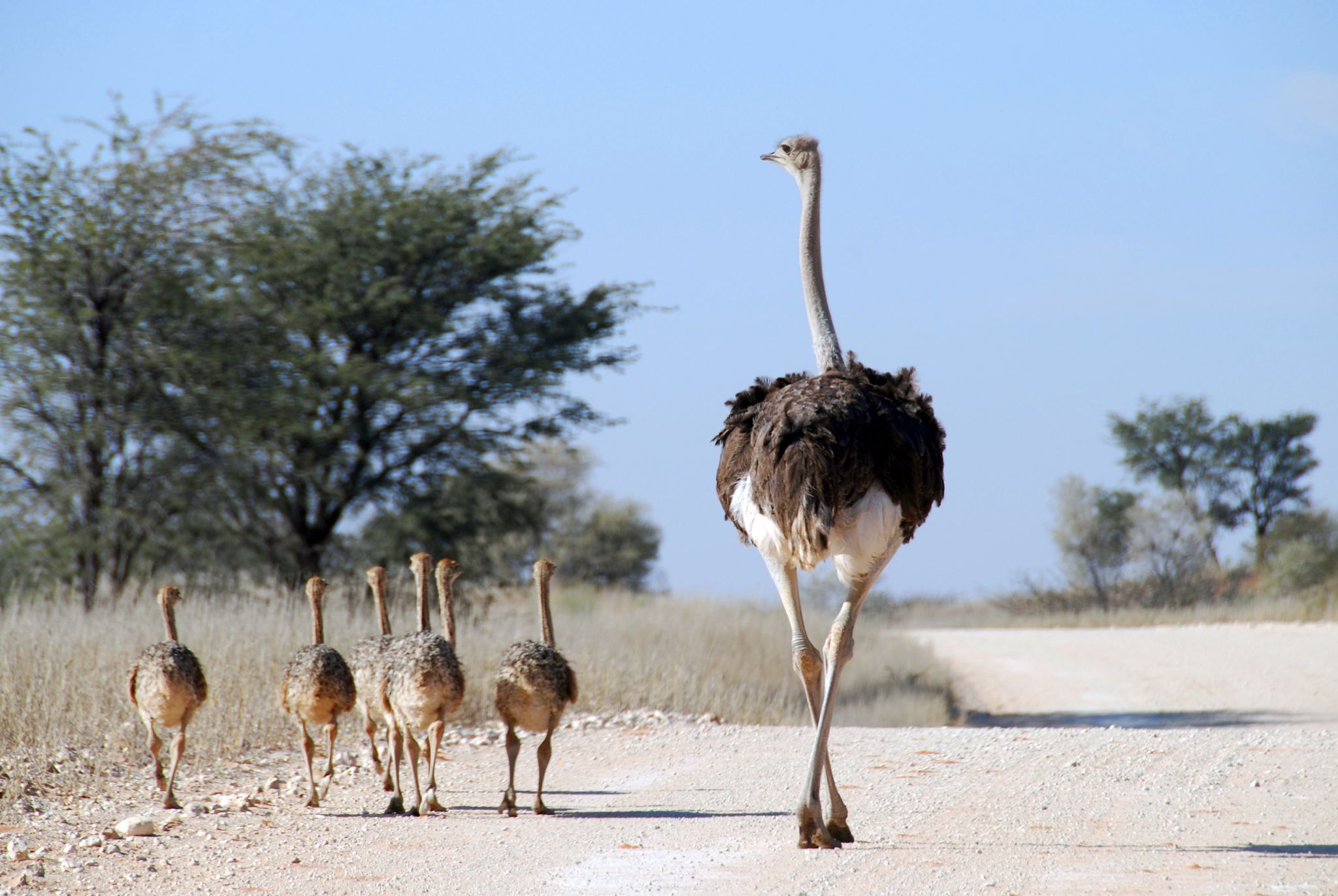 Budget Tanzania Safari gallery photo 1
