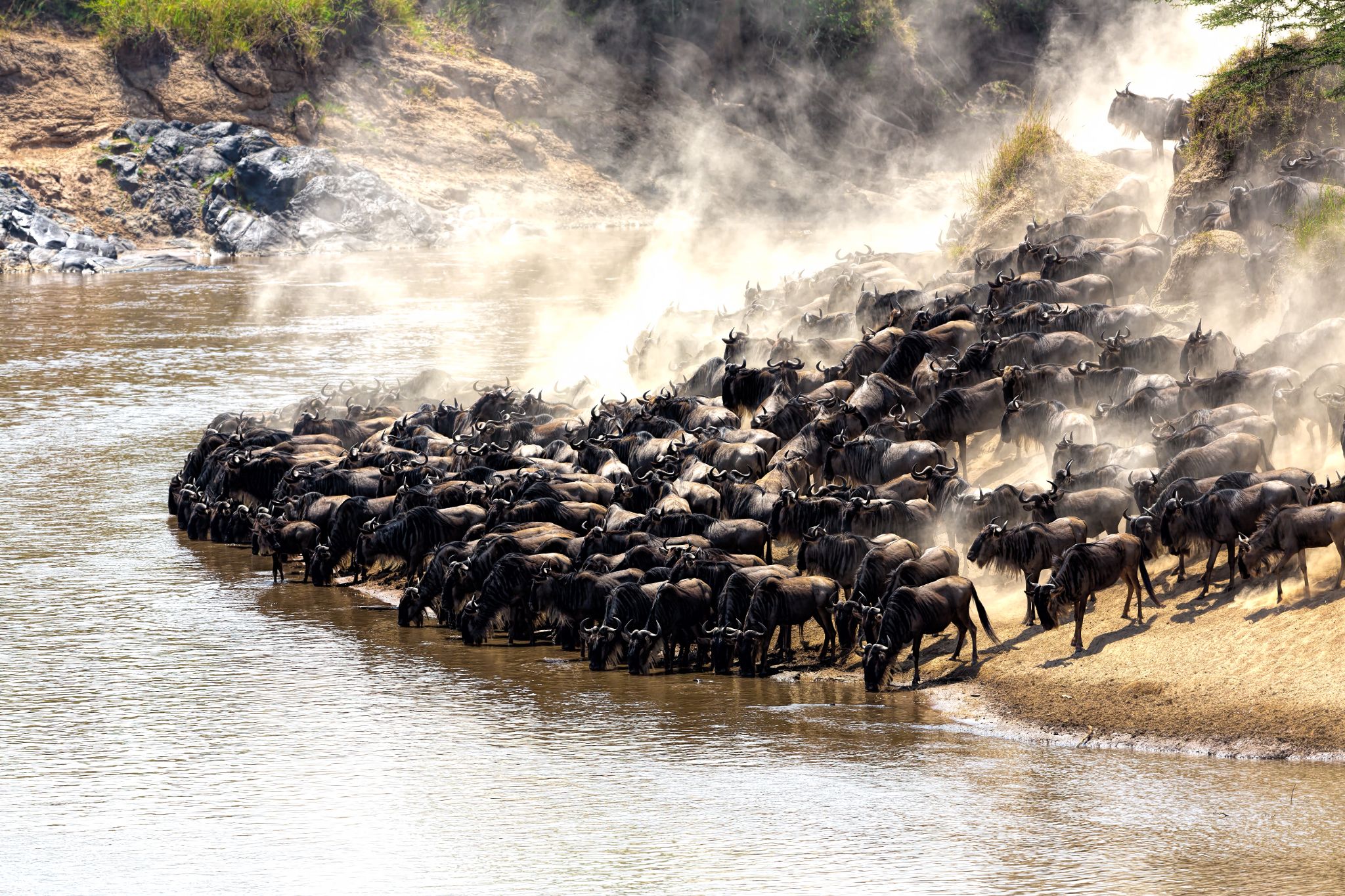 Budget Tanzania Safari gallery photo 1