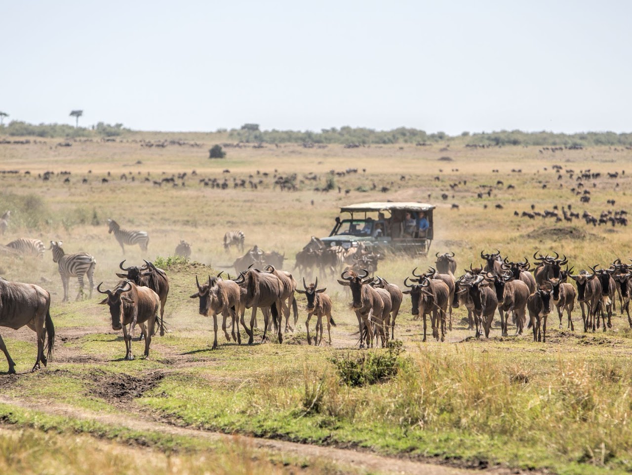 Budget Tanzania Safari gallery photo 4