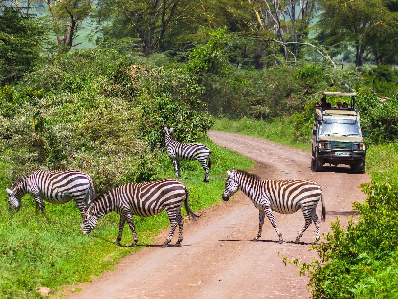Budget Tanzania Safari gallery photo 3