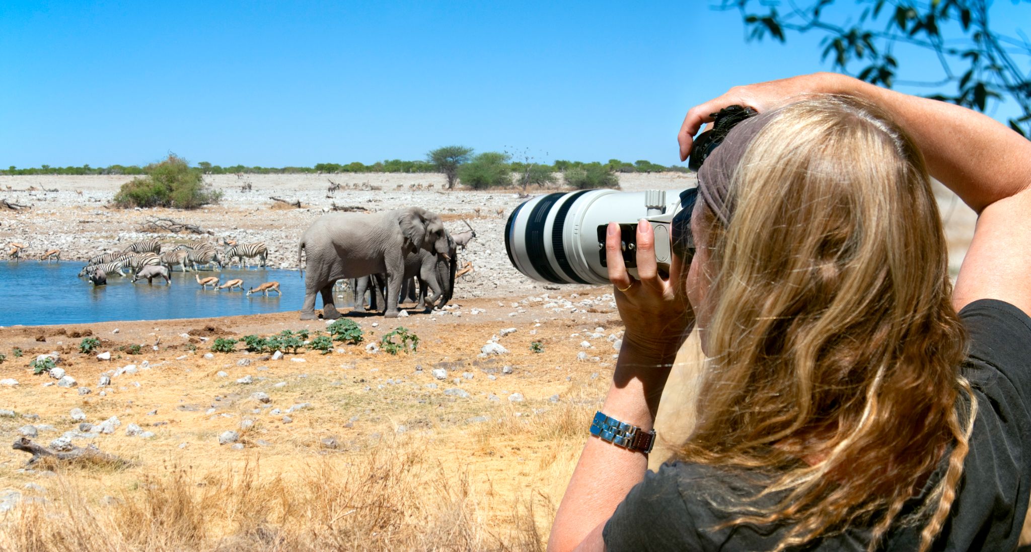 Safari Destinations - Psalms Adventures Tanzania safari