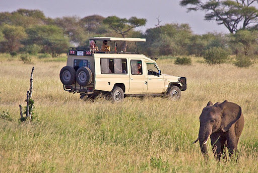Happy Psalms Adventures safari guests on tour in Tanzania
