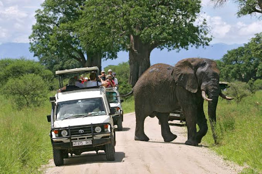Happy Psalms Adventures safari guests on tour in Tanzania