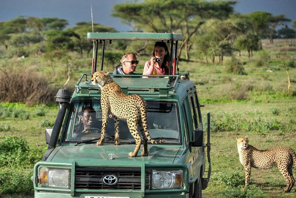 2-day Budget Tanzania Safari safari package in Tanzania