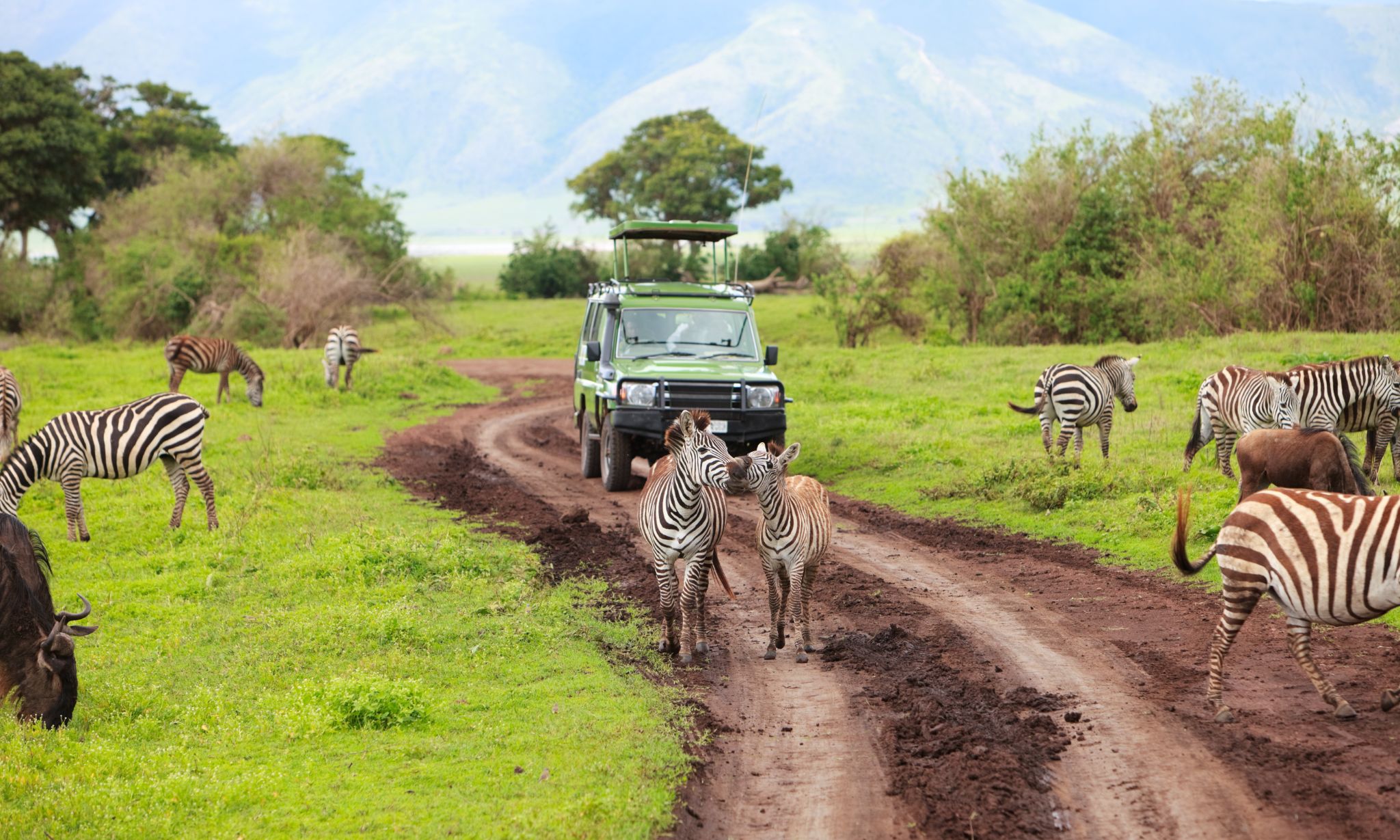 5-day Budget Tanzania Safari safari package in Tanzania