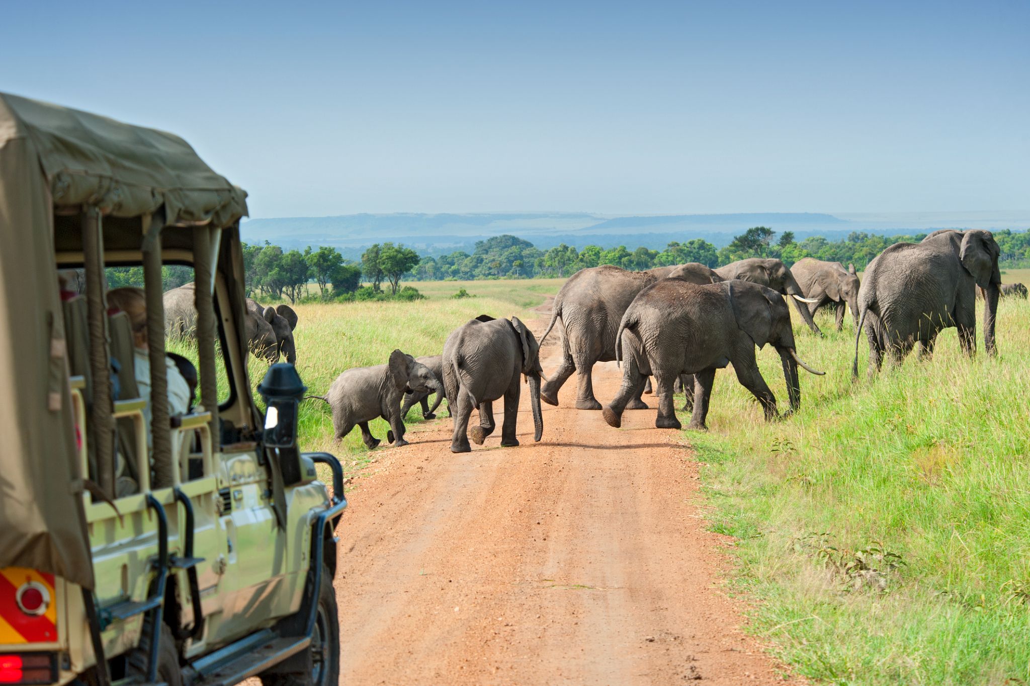 6-day Budget Tanzania Safari safari package in Tanzania