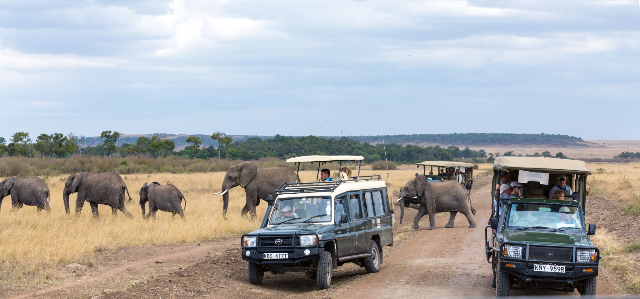 7-day Budget Tanzania Safari safari package in Tanzania