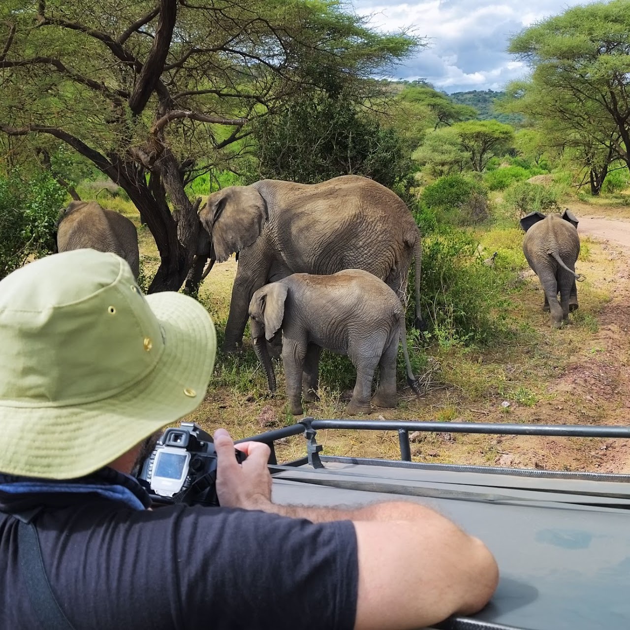 2 Days Budget Tanzania Safari, Psalmsadventure