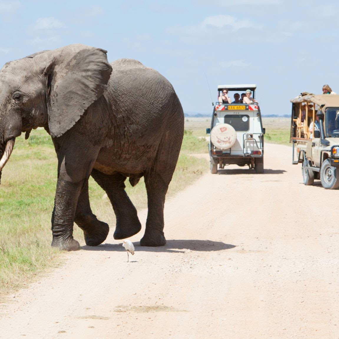 3 Days Budget Tanzania Safari, Psalmsadventure