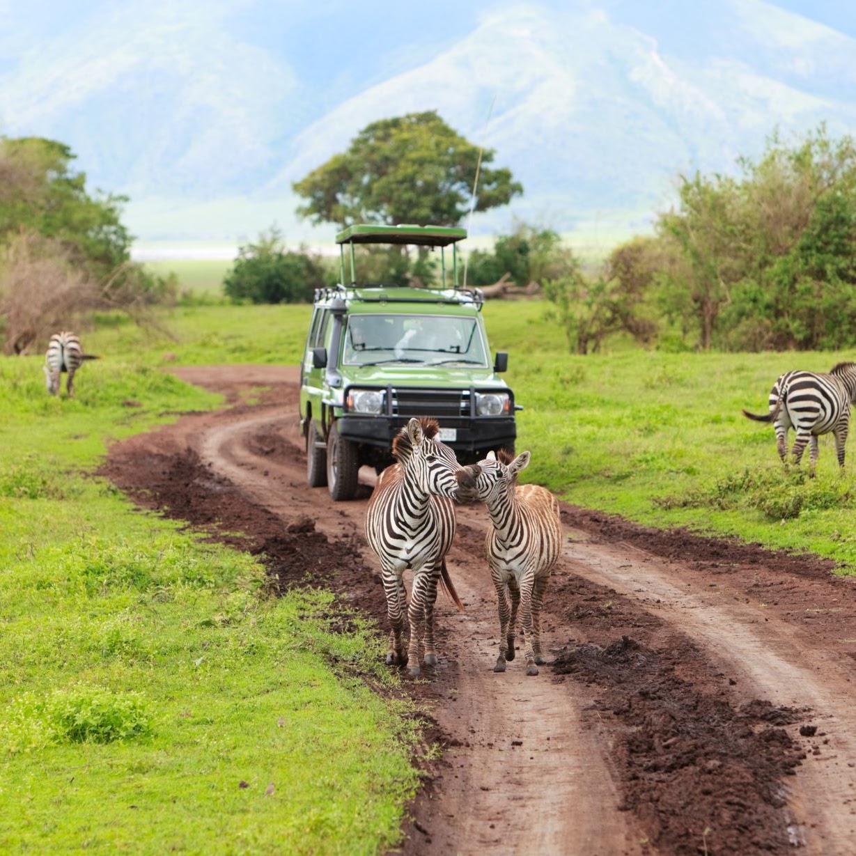 5 Days Budget Tanzania Safari, Psalmsadventure