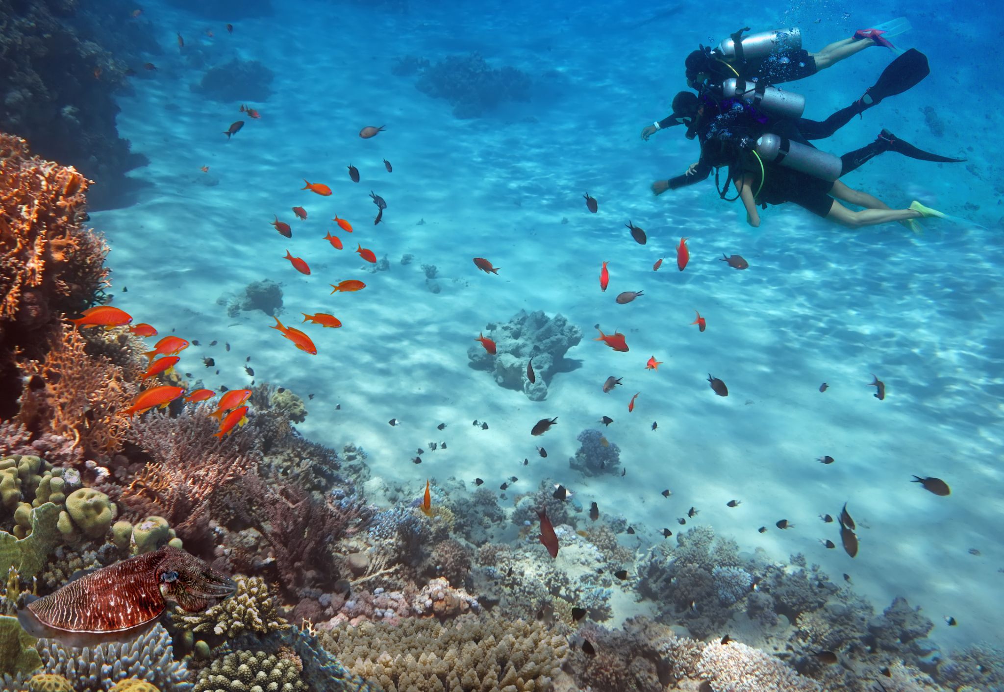 14 Days Tanzania and Zanzibar Safari, Psalmsadventure