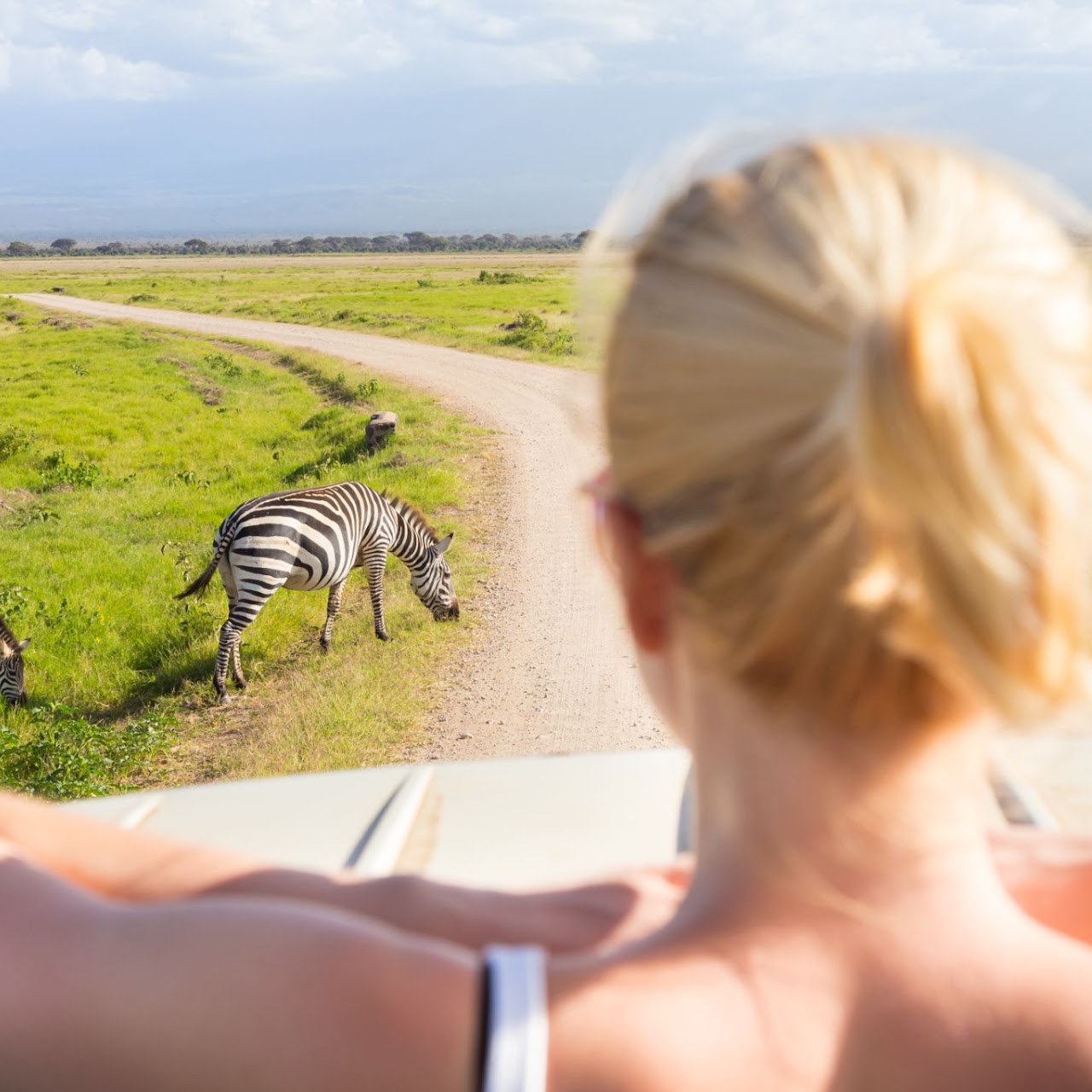2 Days Budget Tanzania Safari, Psalmsadventure
