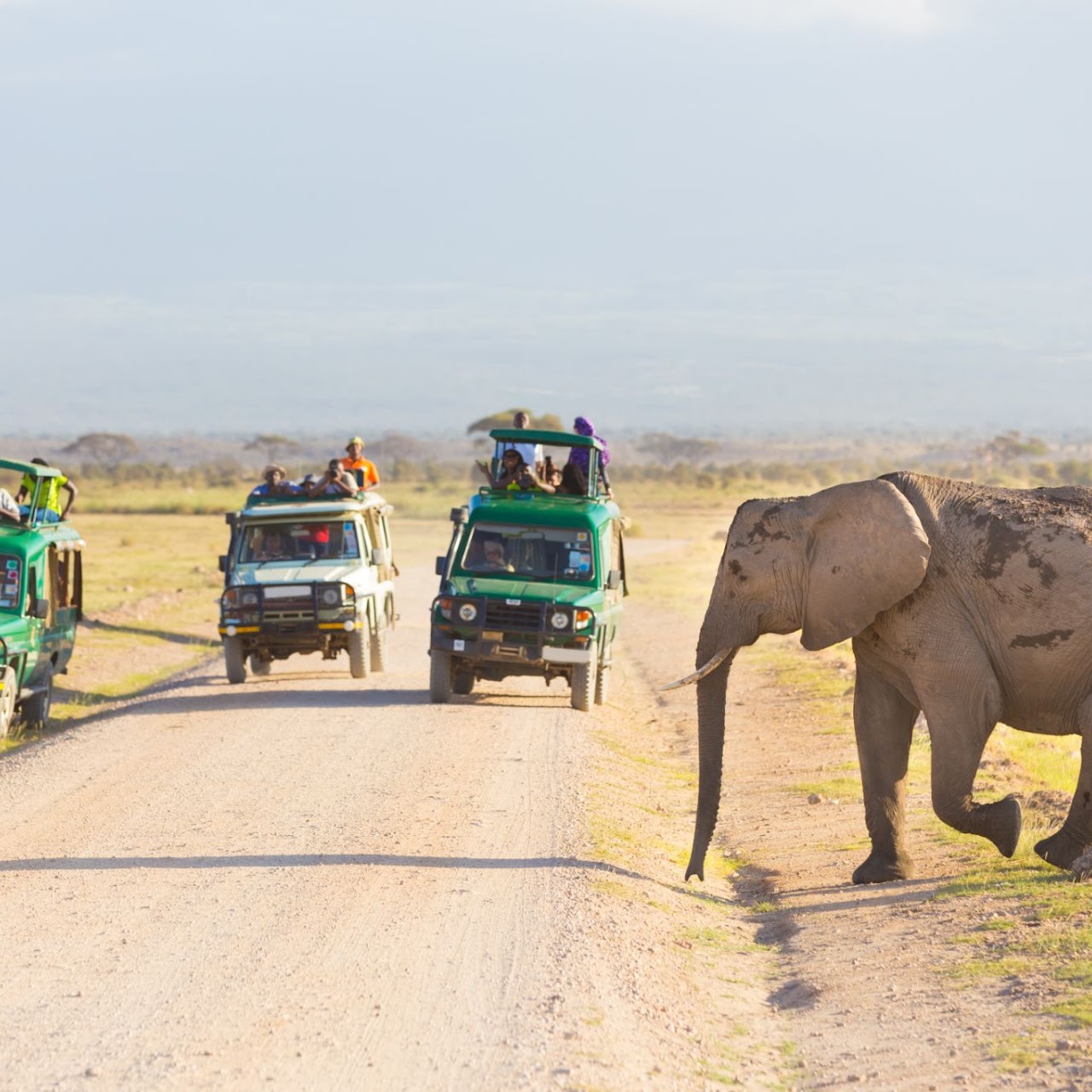 3 Days Budget Tanzania Safari, Psalmsadventure