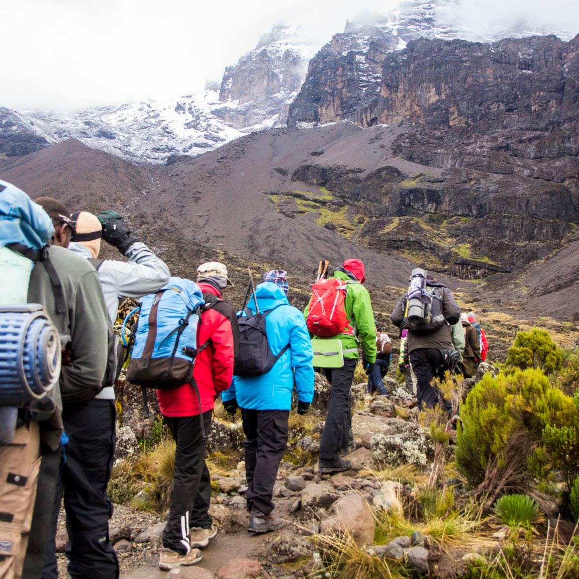 8 Days Mount Kilimanjaro Climb, Psalmsadventure